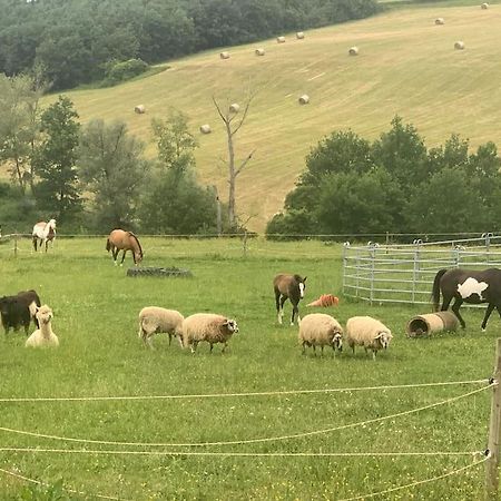 Gite A La Ferme Avec Jacuzzi Et Piscine Chauffee Saint-Felix-de-Tournegat エクステリア 写真